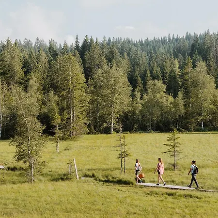 Apartmán Weisstanne Schwarzenberg im Bregenzerwald