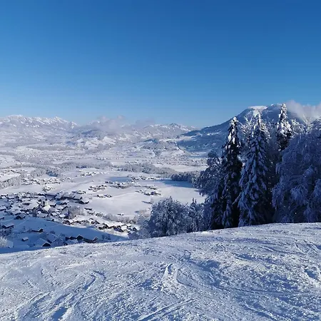 Weisstanne